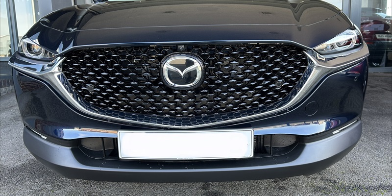 Post 318: Mr Vicious chooses my celebrant.