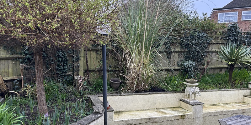 Post 324: Weeding Together, a Rare Occurrence.