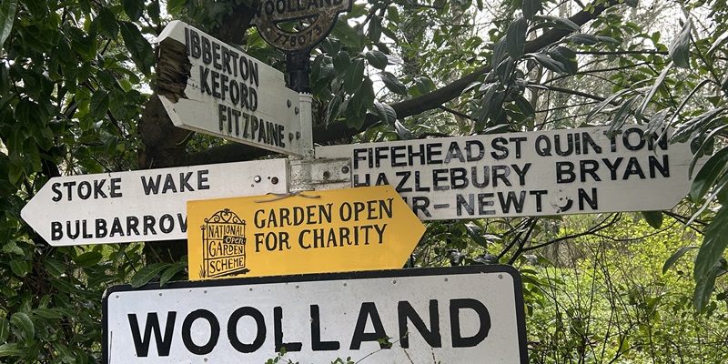 Post 337: Careful response to unnecessary regrets.