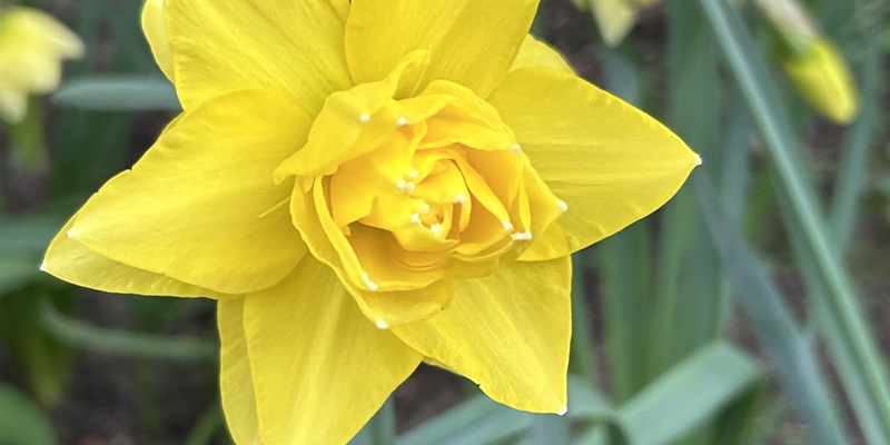 Post 345: This month is the longest.