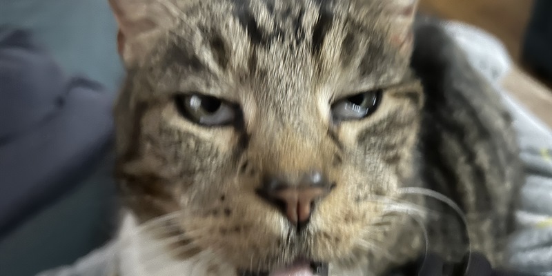 Post 348: From haircuts to a work health-check.