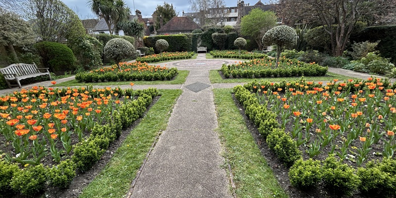 Post 347: A majestic day.