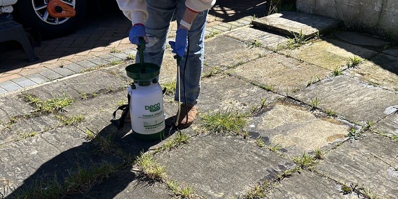 Post 353: Asking for help in the garden, and getting caught in the headlights.