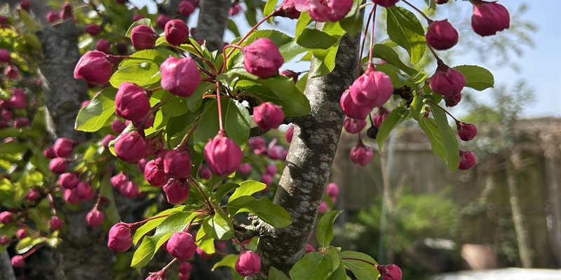 Post 358: Tired, like I ran a marathon, which I certainly have not.