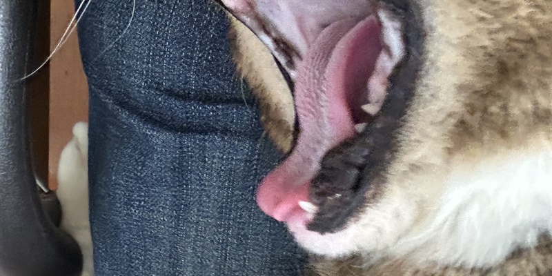 Post 363: Reality bites.