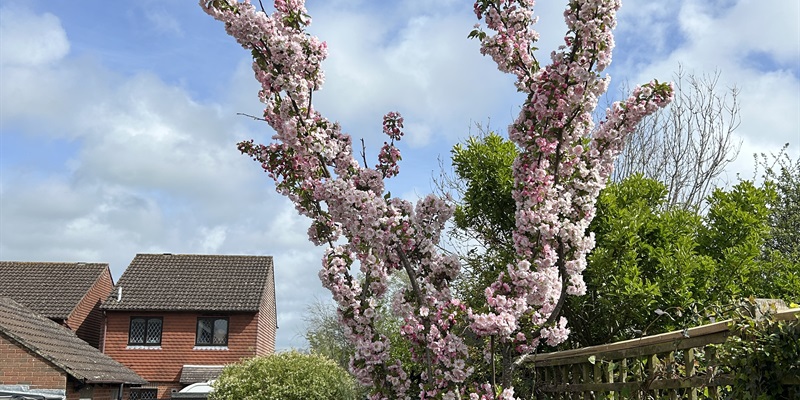 Post 364: Not much happened.