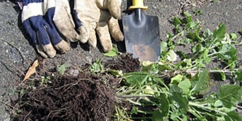 Post 365: I slept for seven hours.