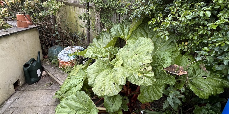 Post 367: Back ache but oh, the mattress is good.