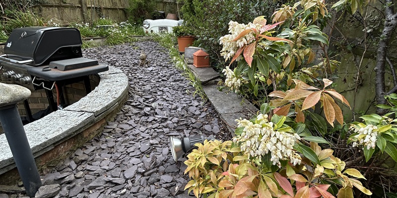 Post 366: Nasty pyracantha stings and the motorbike’s dead.