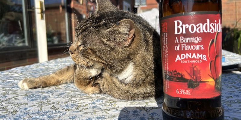 Post 373: Confusion and tiredness.