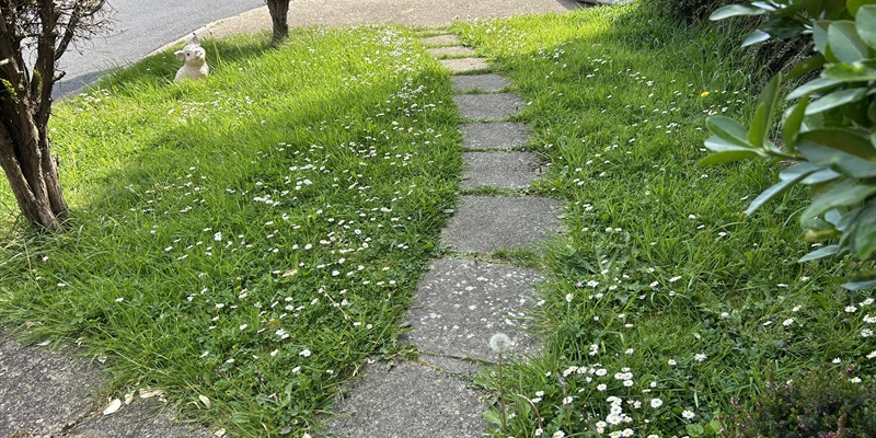 Post 386: A walk around the block in the sunshine.
