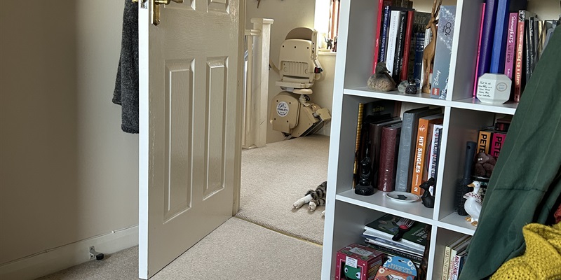 Post 446: Opportunity knocks - one cat for sale…