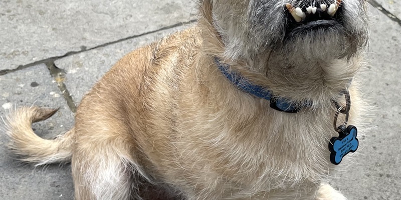 Post 303: 90 year old’s forgettable party.