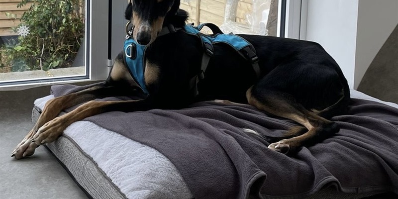 Post 234: Young, free but not single.