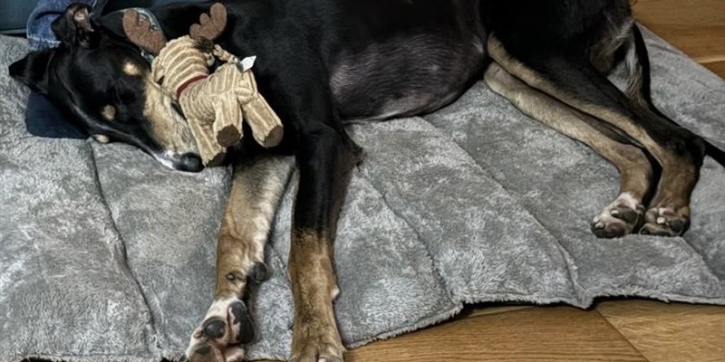 Post 319: More sunshine and a visit from Byron.