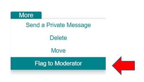  Screenshot showing the 'Flag to moderator' found in the 'More' tab.