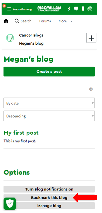 Blog page with Megan's blog in green writing