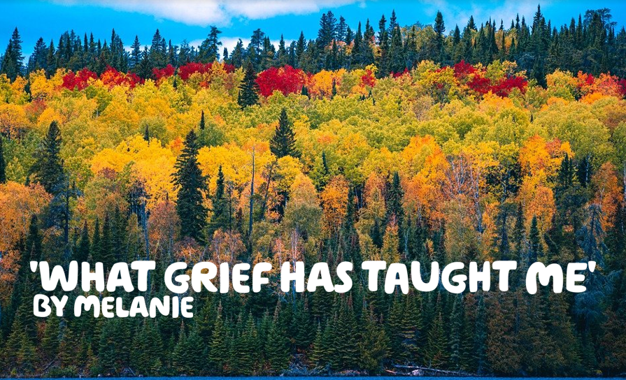 'What grief has taught me' by Melanie written in white letters over a photo of an autumnal forest, the leaves on the trees are all different colours.