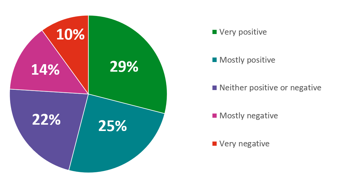 29% very positive, 25% mostly positive, 22% neither positive or negative, 14% mostly negative, 10% very negative