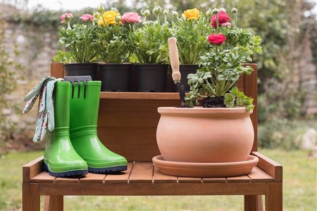 a photograph of gardening equipment