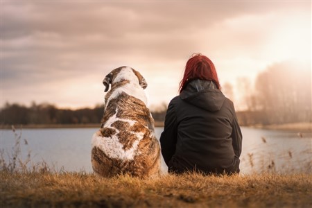 A photo of a dog and a woman