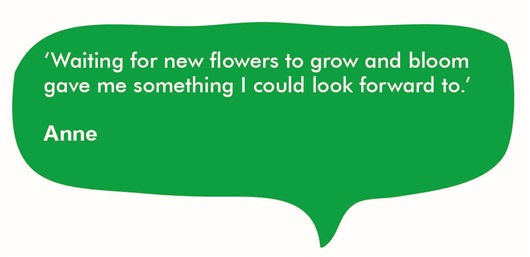 Quote from Anne 'Waiting for new flowers to grow and bloom gave me something I could look forward to.'