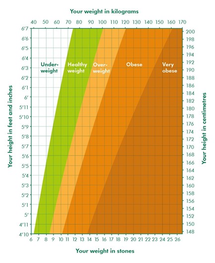 The image shows a chart that compares height (on a horizontal axis) with weight (on a vertical axis) so that people can work out their body mass index (BMI). BMI is your body mass divided by the square of your height. The chart uses four colours to show which height and weight combinations are under-weight, a healthy weight, over-weight, obese and very obese.