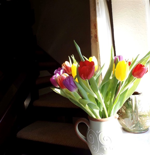 Tulips in a vase next to a sunny window