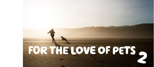 'For the love of pets 2' written in white over an image of a person playing with a dog on a beach