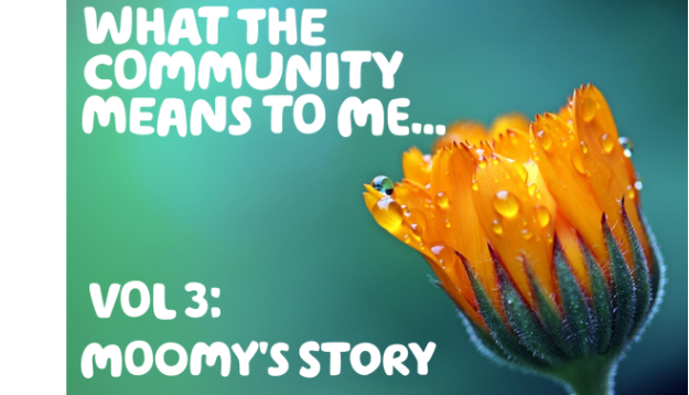 "What the Community means to me … Vol 3:" Written over an image of a flower bud, with drips of water on it, against a teal background.