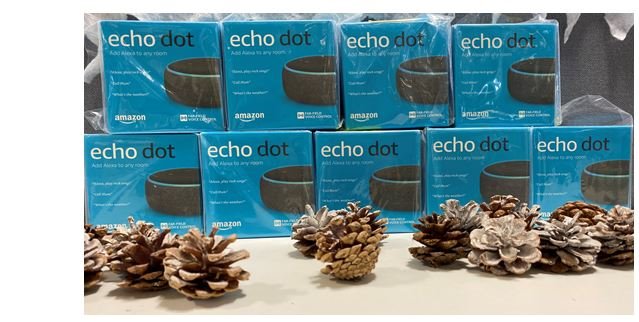  Image showing the prizes of several boxed 'Amazon Echo Dot'
