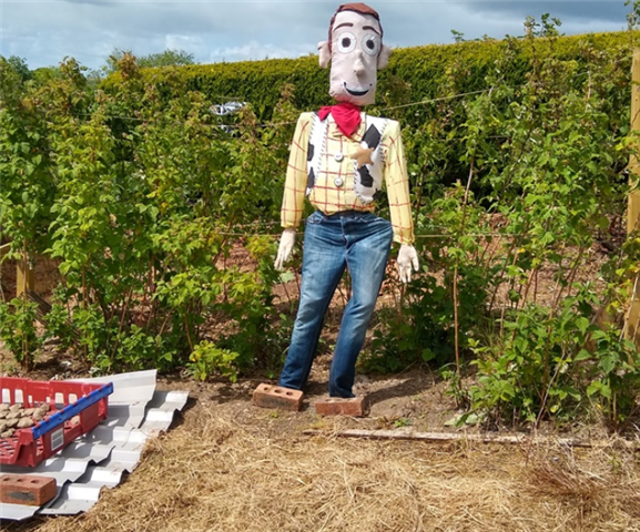Photograph of tvman's scarecrow which looks like the character Woody from Toystory.