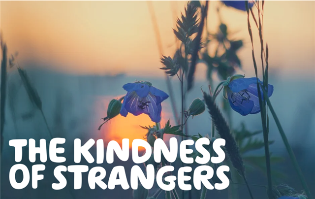 'the kindness of strangers' written in white over a photo of a purple flower in a field at sunset.