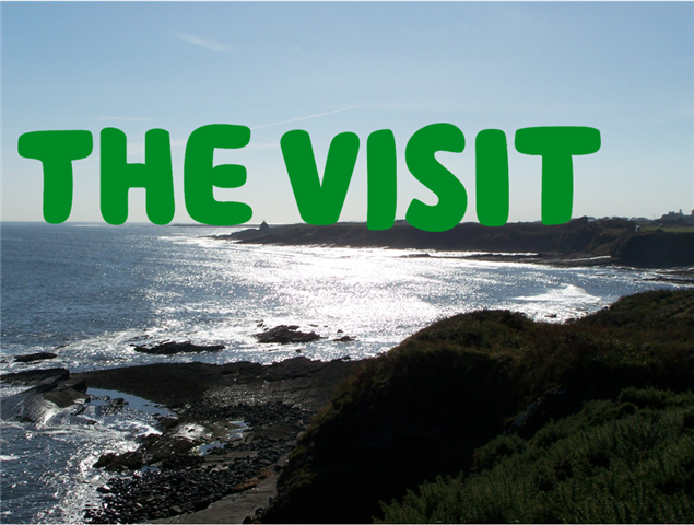 'The Visit' written in green over a photo taken by David on a coastline with the sun on the water.
