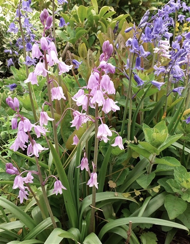 To brighten up your day 