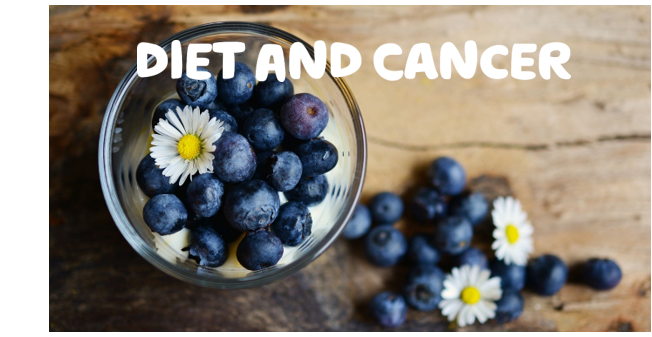  Diet and cancer written in white over a bowl of daisies and blueberries on a wooden countertop.