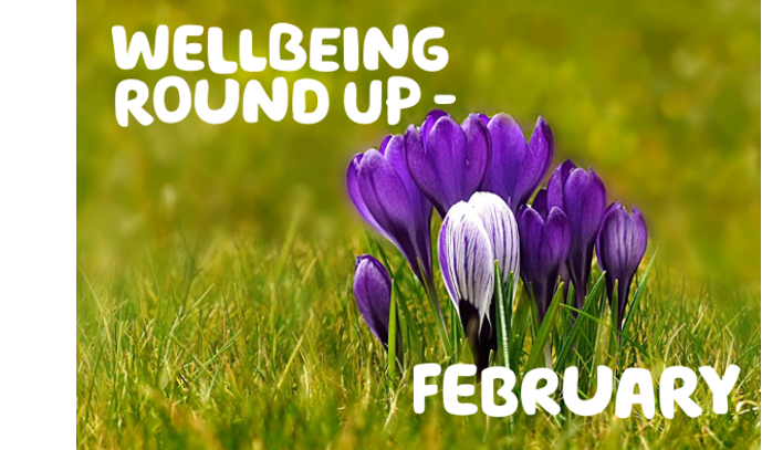 ‘Wellbeing round up – February” Written over an image of purple flowers in grass.