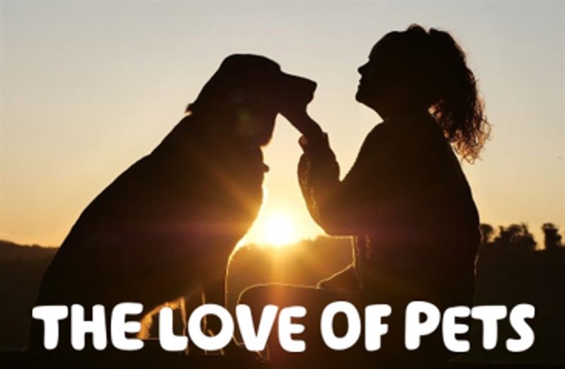 'The love of pets' written in white over an image showing a silhouette of a woman and her dog