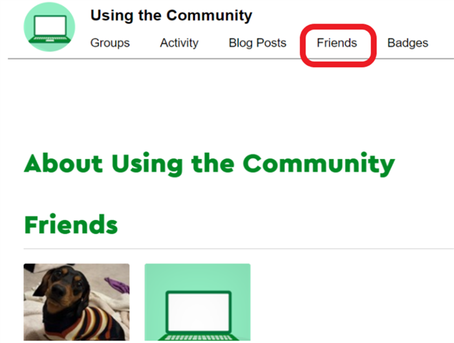 Image of profile with 'Friends' tab highlighted in red circle