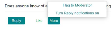 Image of 'Flag to Moderator' option within the 'More' menu
