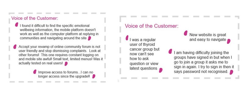 Voice of the customer