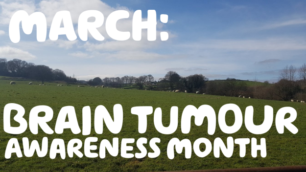 An image of a landscape, with the words 'March - Brain Tumour Awareness Month'