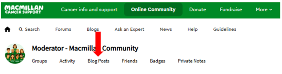 Profile activity page with a red arrow pointing to the blog posts section