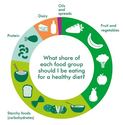 this diagram shows the different amounts of types of food you need to eat to stay healthy.