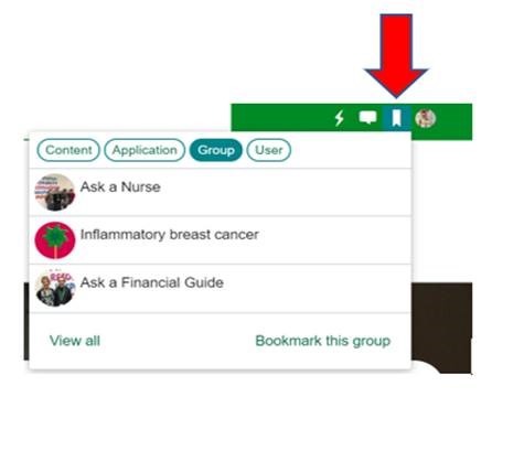 Screenshot showing a red arrow pointing to the bookmark icon. 